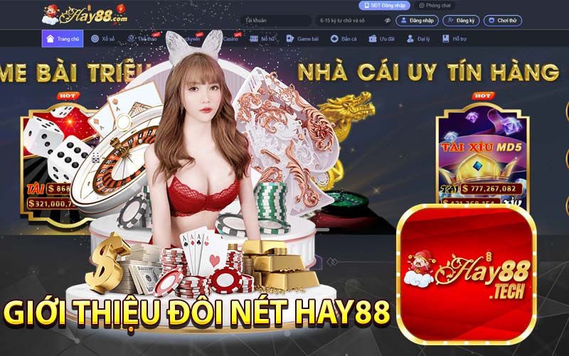 Giới thiệu đôi nét HAY88